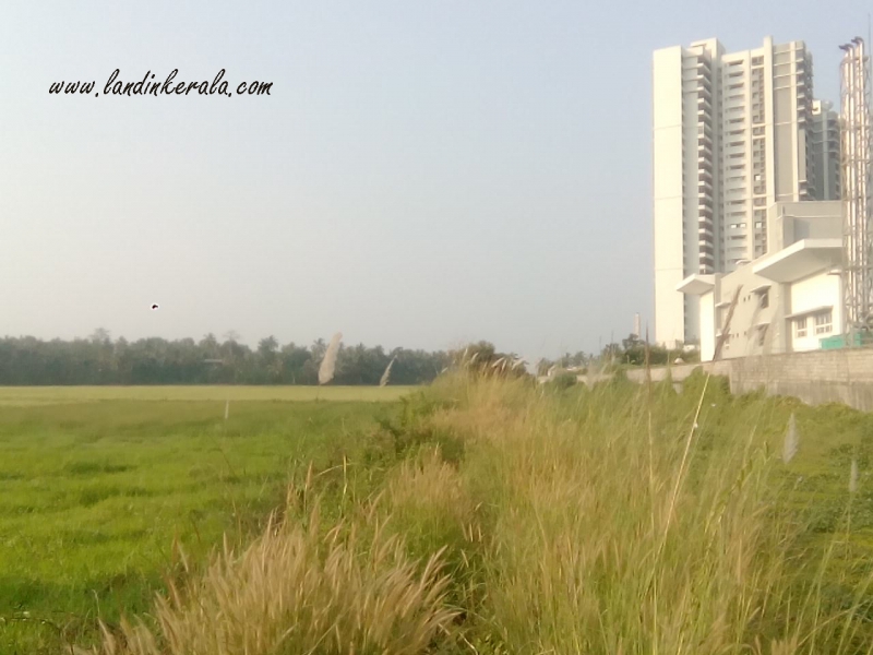 kerala properties for sale